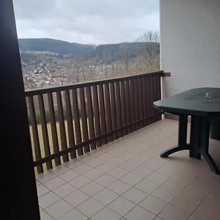 公寓 Les Dryades Avec Vue Montagne *