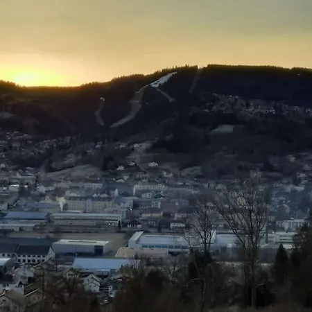 Appartement Les Dryades Avec Vue Montagne *