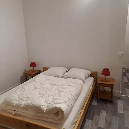 דירה Les Dryades Avec Vue Montagne ג'רארדמר